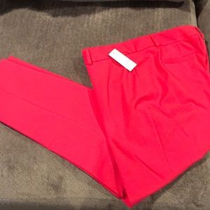 Women’s pants